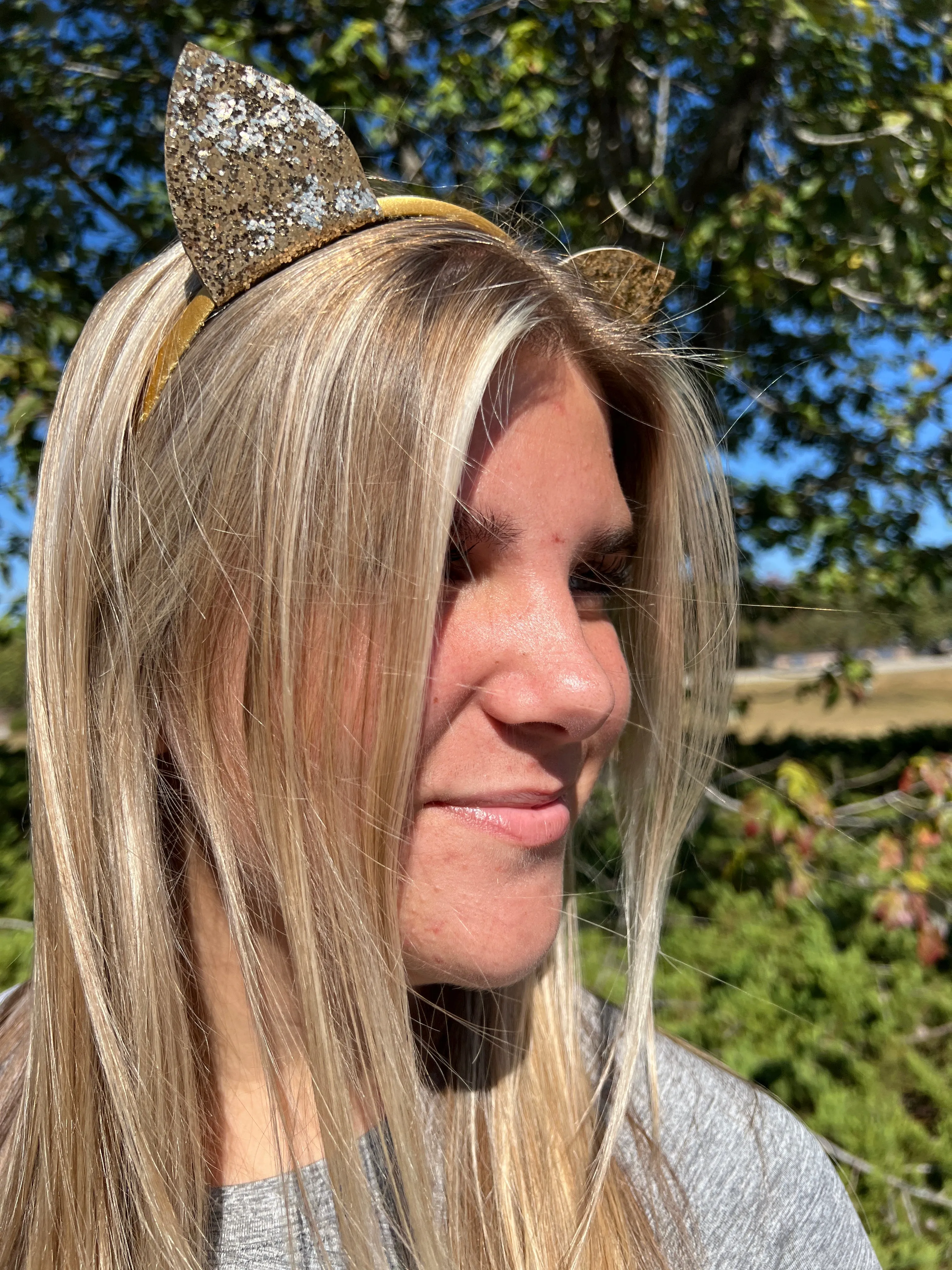 4 Pack Cat Ears, Halloween Costume Accessory, Dress Up