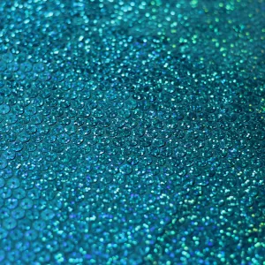 All-Over Holo Sequins