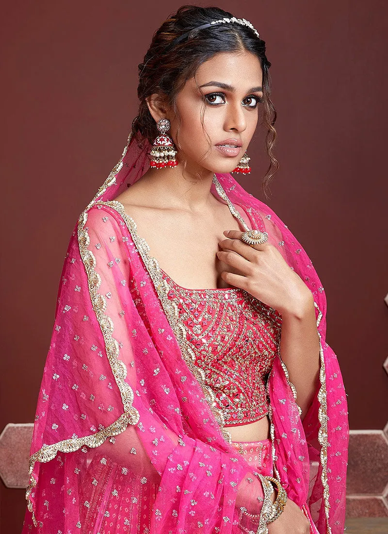 Baby Pink Tone Stylish Lehenga Choli
