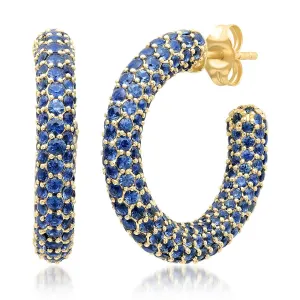 Blue Sapphire Party Hoops