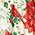 Holiday Garden Party Dress