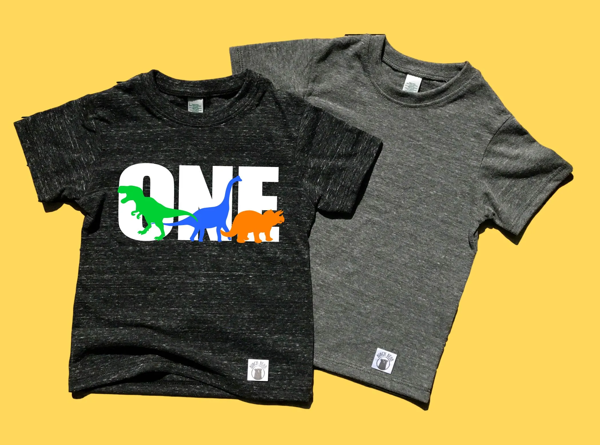One Dinosaur Shirt | 1st Birthday Shirt | Unisex Kids