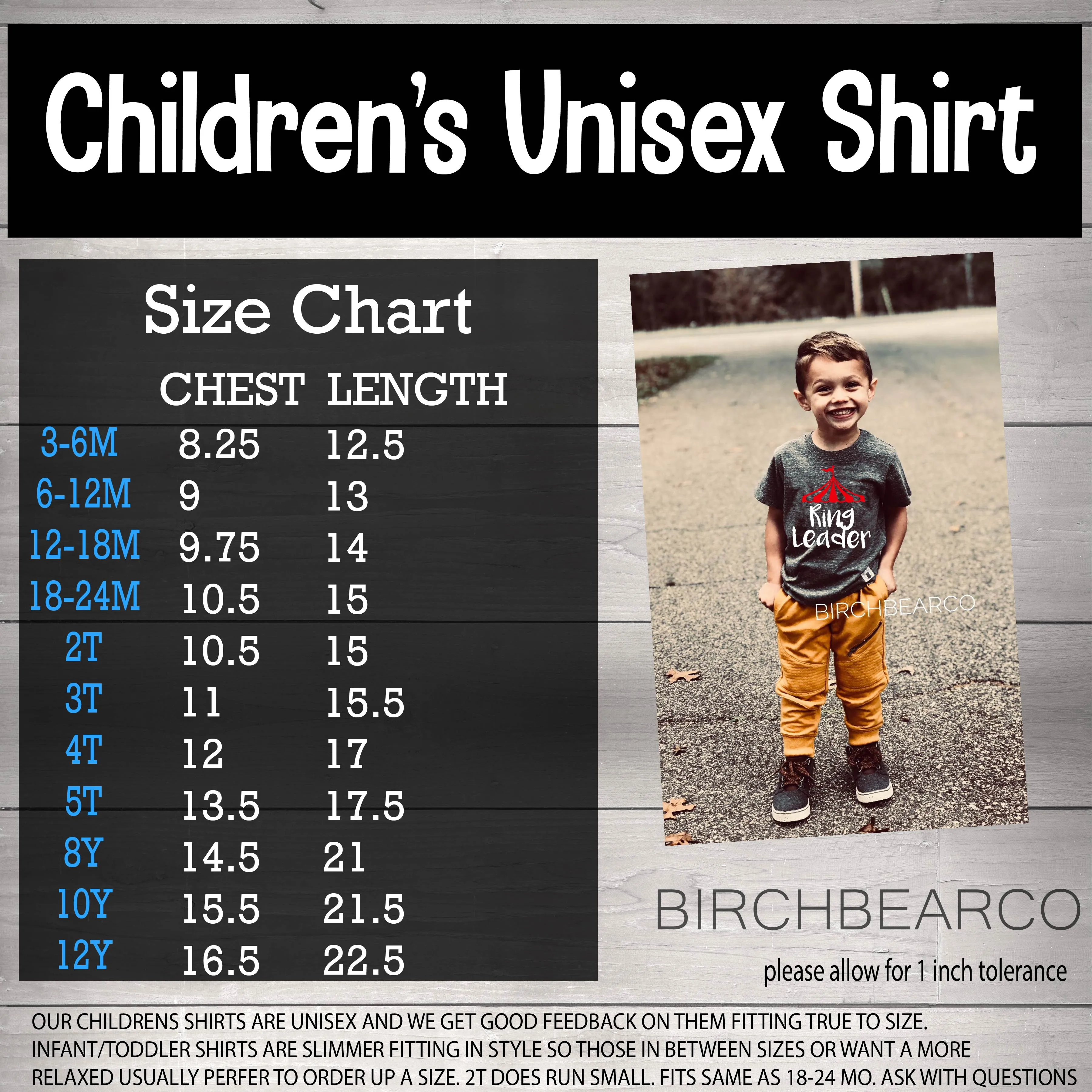 One Dinosaur Shirt | 1st Birthday Shirt | Unisex Kids