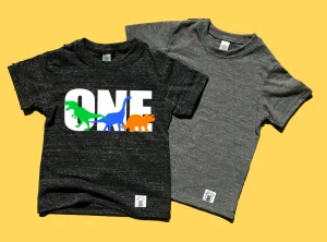 One Dinosaur Shirt | 1st Birthday Shirt | Unisex Kids