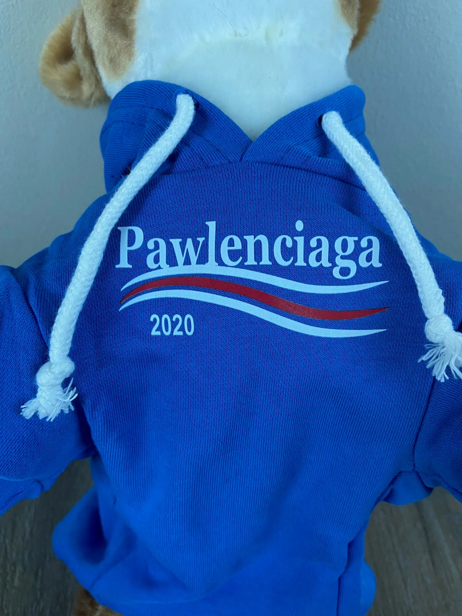 Pawlenciaga Hoodies