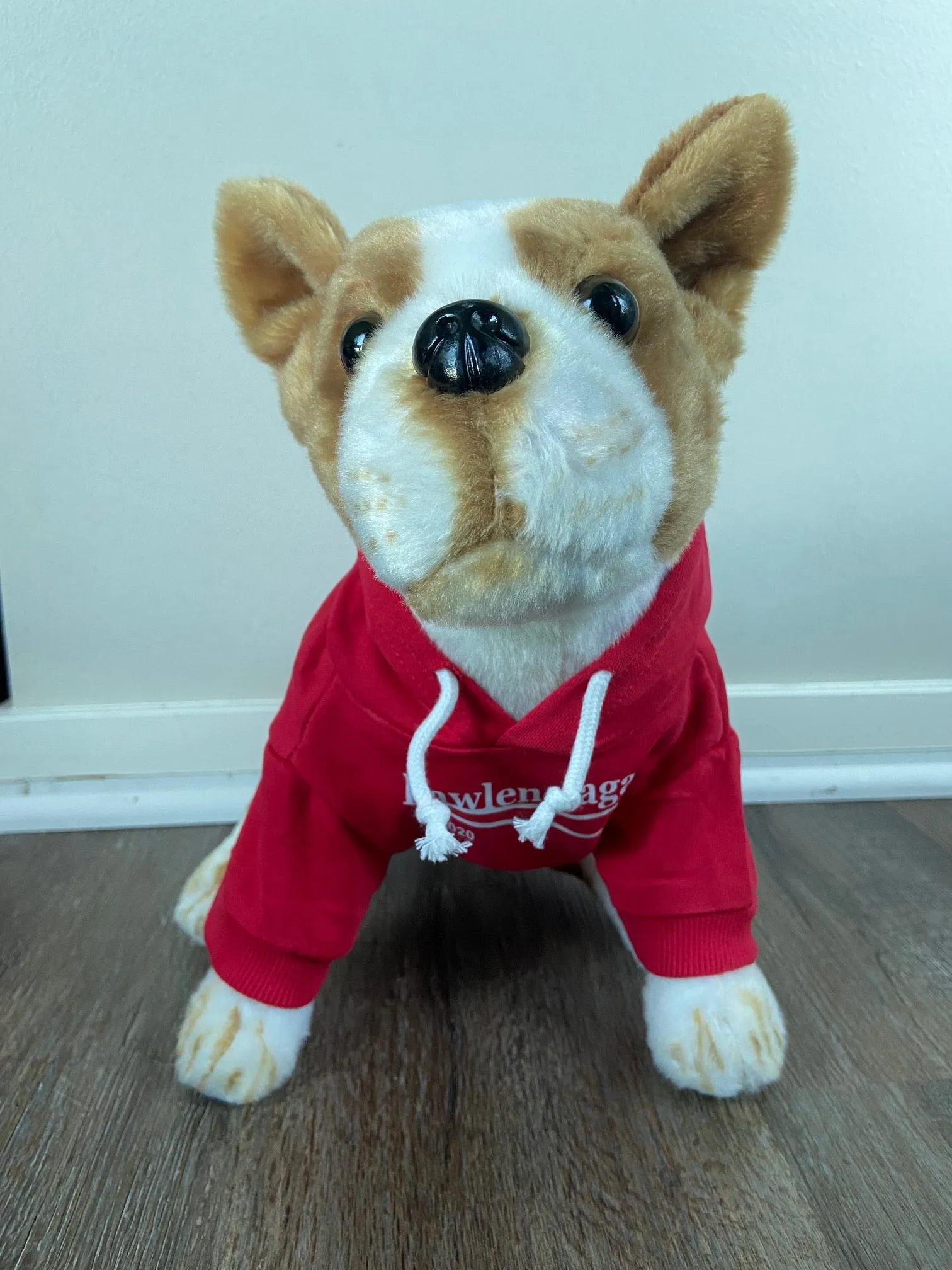 Pawlenciaga Hoodies