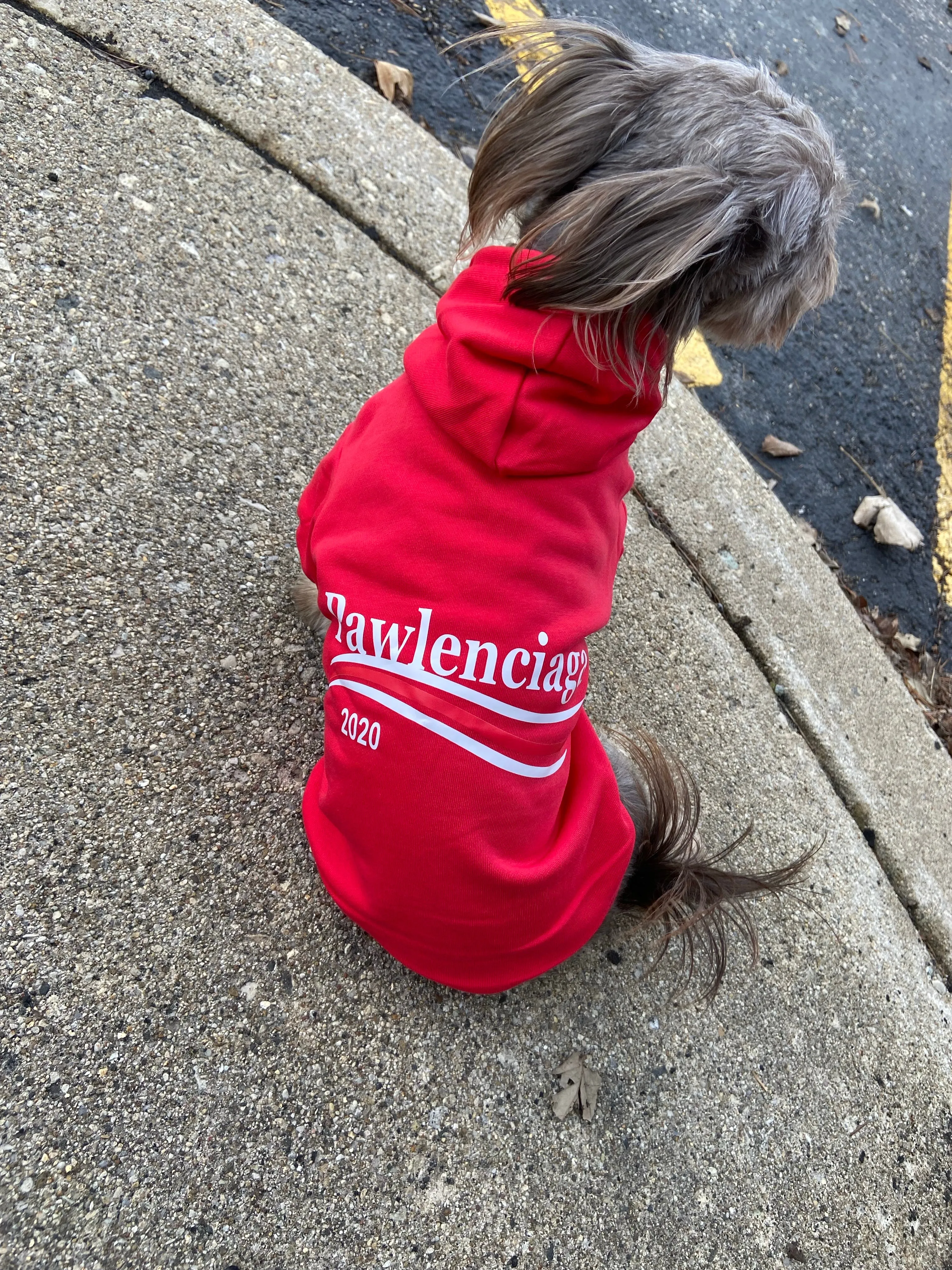 Pawlenciaga Hoodies