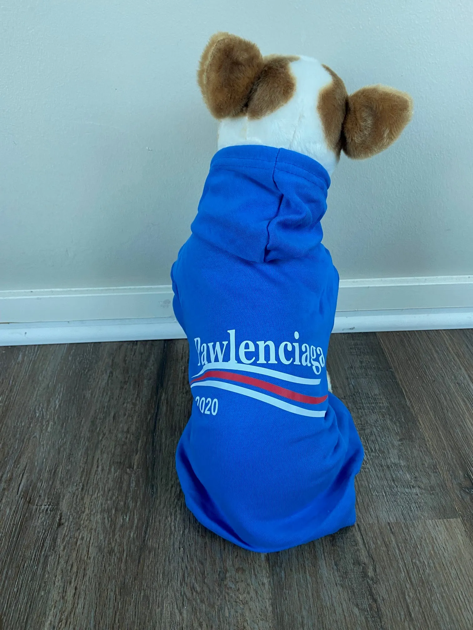Pawlenciaga Hoodies