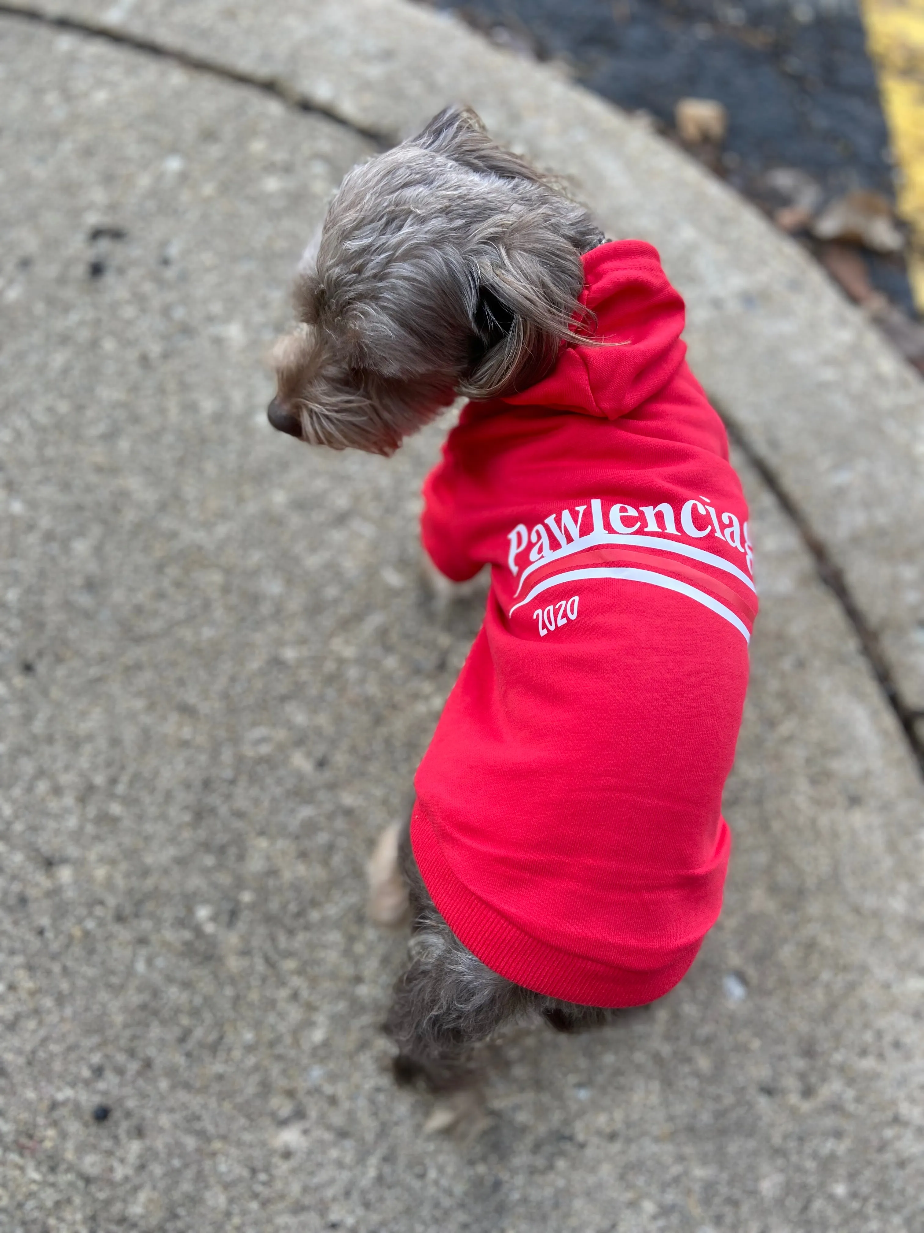 Pawlenciaga Hoodies