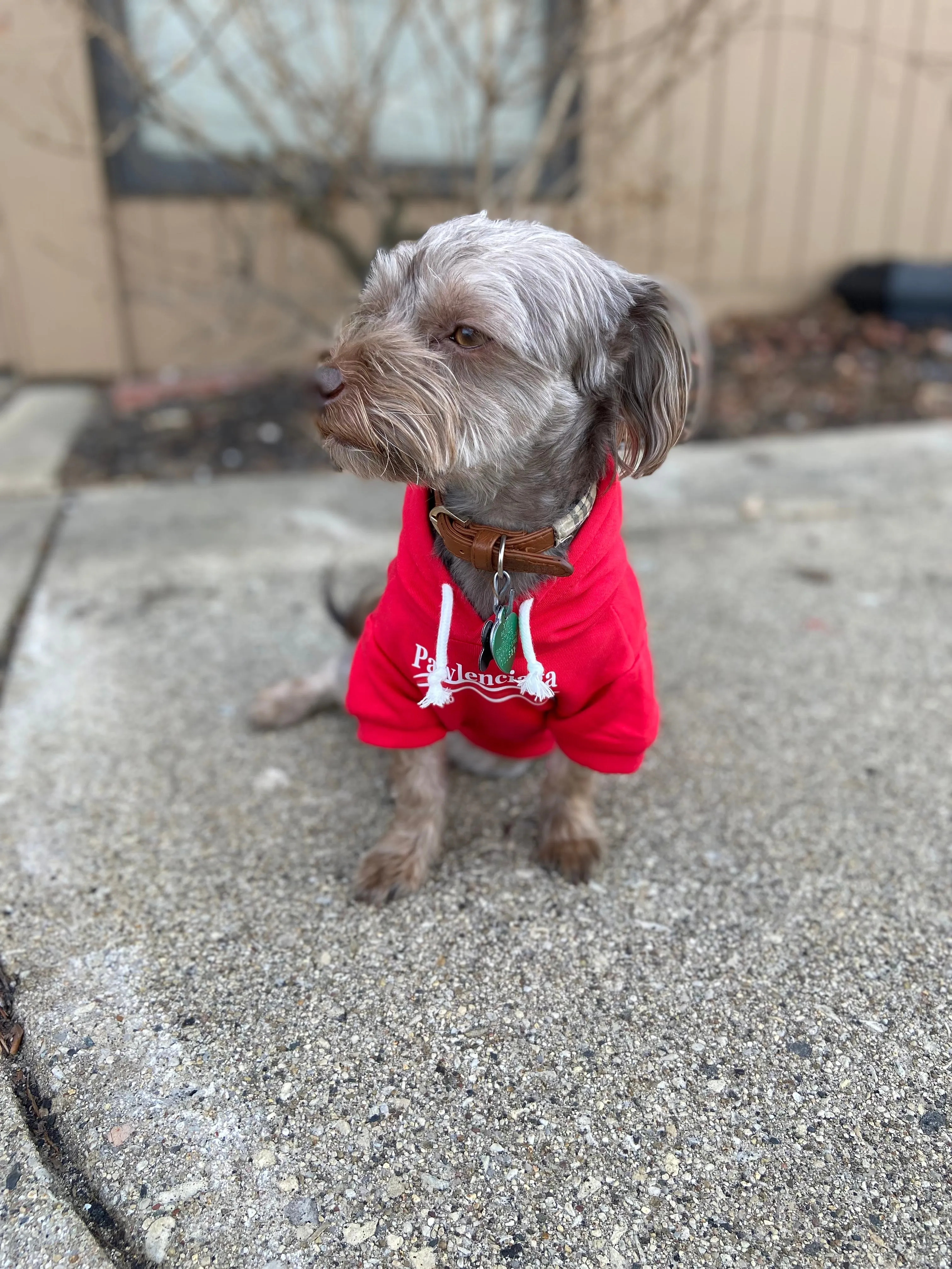 Pawlenciaga Hoodies