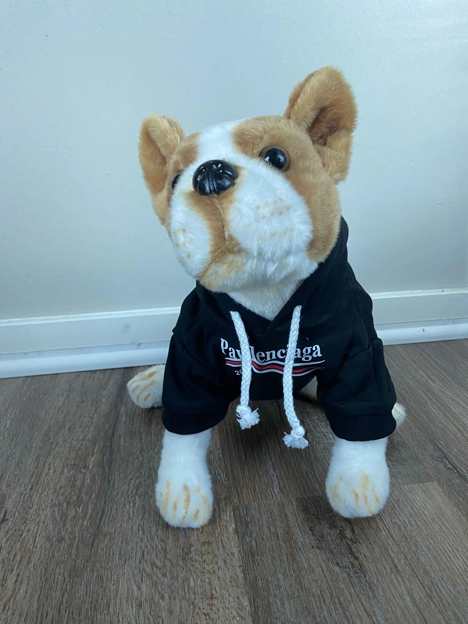Pawlenciaga Hoodies