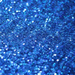 SC Glamour Shiny Sequins