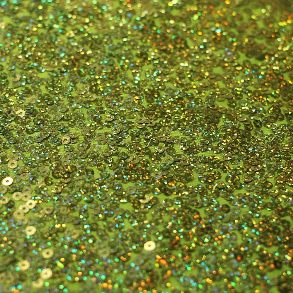 Sequin Showcase Razzle
