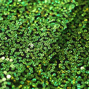 Sequin Showcase Razzle