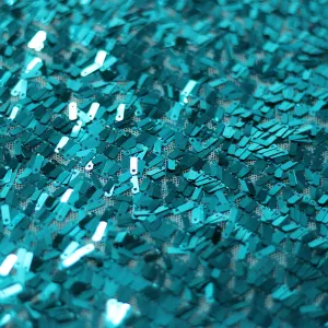 Tina Sequins