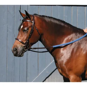 Tory Leather Padded Bridle with Buckle Bit Ends