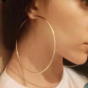 Trendy Celebrity Brand Hoop Earrings